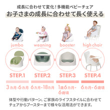画像をギャラリービューアに読み込む, ワイズチェア【送料無料】