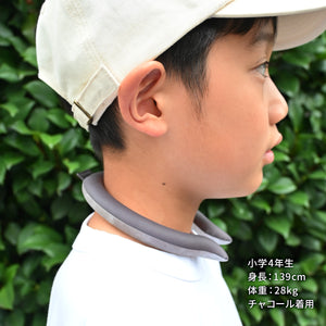 アイスリング ICE RING（Mサイズ） 【送料無料】※代引き不可