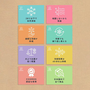 ICE CARRY M 【送料無料】