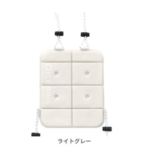 ICE CARRY【送料無料】 ※代引き不可
