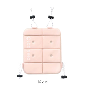 ICE CARRY【送料無料】 ※代引き不可