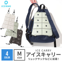 画像をギャラリービューアに読み込む, ICE CARRY M 【送料無料】
