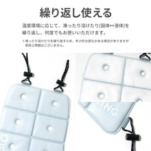 画像をギャラリービューアに読み込む, ICE CARRY M 【送料無料】
