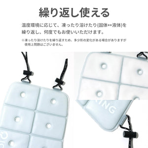 ICE CARRY M 【送料無料】
