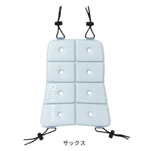 ICE CARRY M 【送料無料】