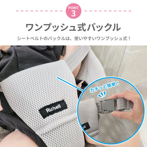 リッチェル　バウンシングシートN 【送料無料】