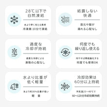 画像をギャラリービューアに読み込む, アイスリング ICE RING（Mサイズ） 【送料無料】※代引き不可
