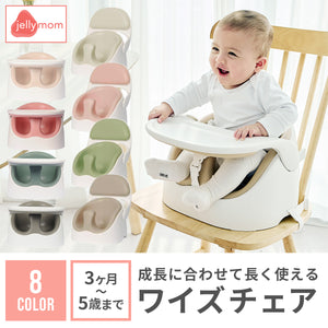 ワイズチェア【送料無料】