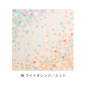 オーガニックコットン ふろしき 100×100cm（使い方小冊子付） ※代引き不可