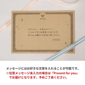 【2点セット】選べるカラー おもちゃギフトセット