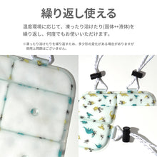 画像をギャラリービューアに読み込む, ICE CARRY【送料無料】 ※代引き不可
