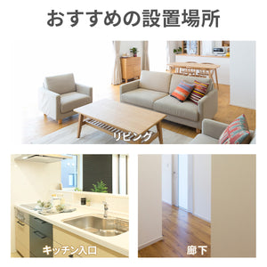 BABYDAN ベビーゲート プレミア 【送料無料】