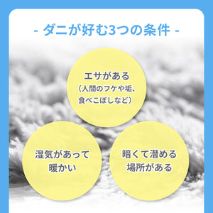 ダニシート ５枚セット 大判サイズ 【送料無料】 ※代引き不可