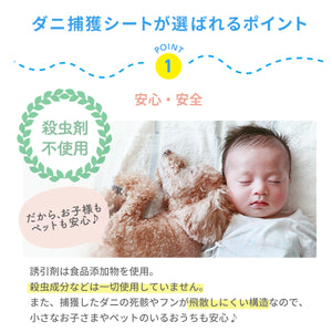 ダニシート ５枚セット 大判サイズ 【送料無料】 ※代引き不可