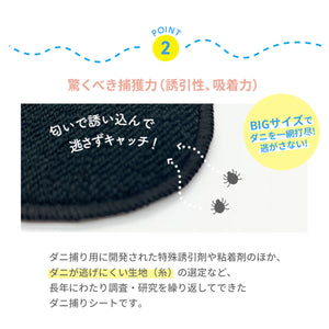 ダニシート ５枚セット 大判サイズ 【送料無料】 ※代引き不可