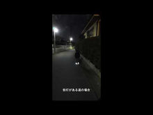 ギャラリービューアLEDシュークリッパー 両足用（2個セット）※代引き不可に読み込んでビデオを見る

