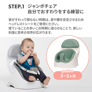 ワイズチェア【送料無料】