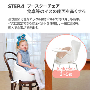 ワイズチェア【送料無料】